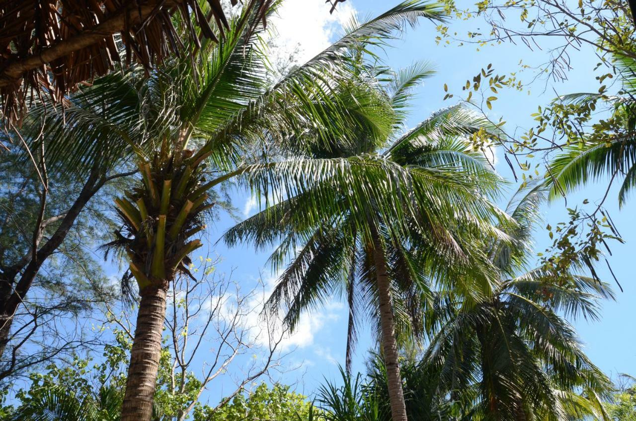 Reggae Island Private Island Koh Phayam Bagian luar foto