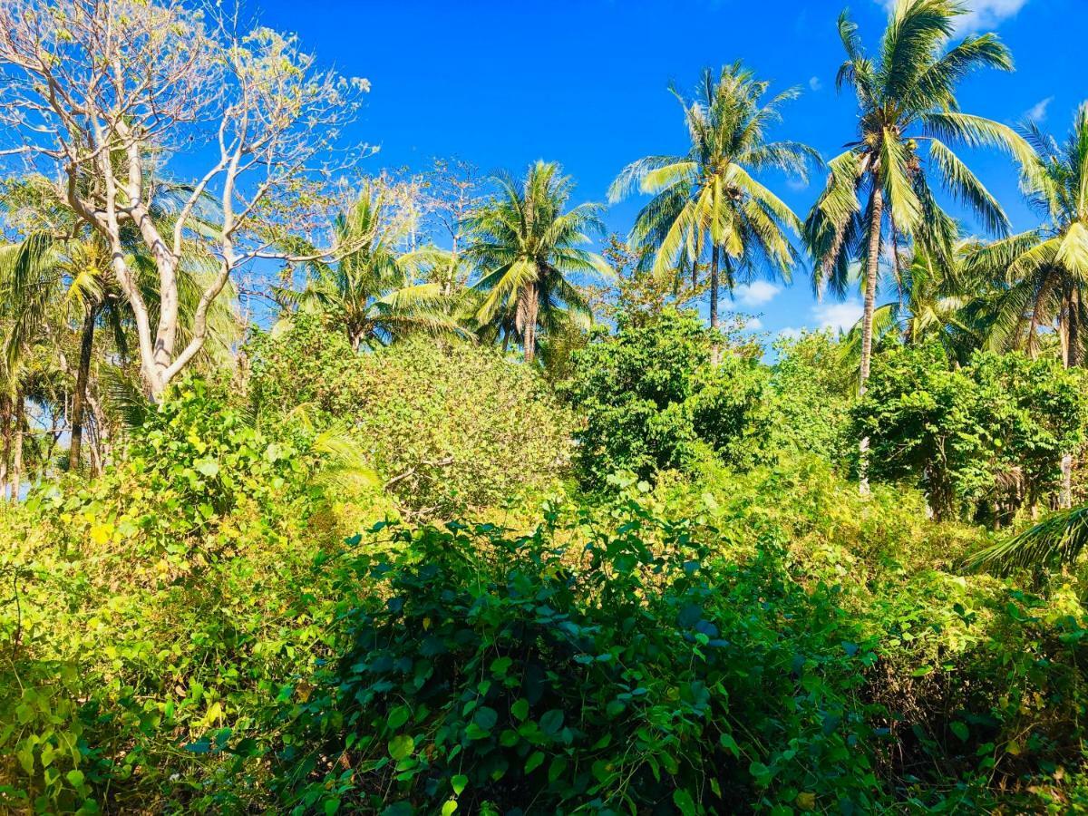Reggae Island Private Island Koh Phayam Bagian luar foto